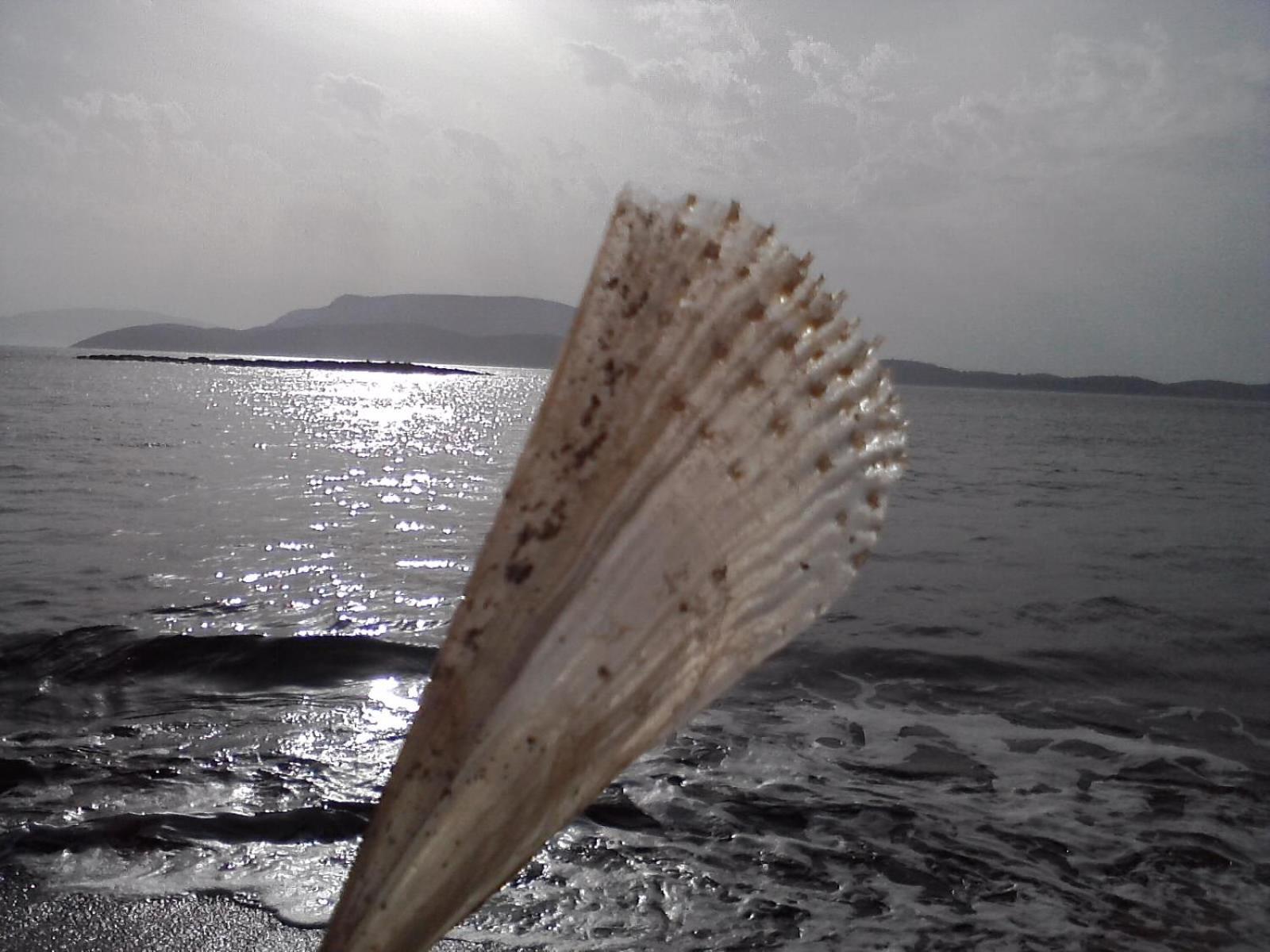 Armonia By Grispos Villas Schoinoussa Dış mekan fotoğraf