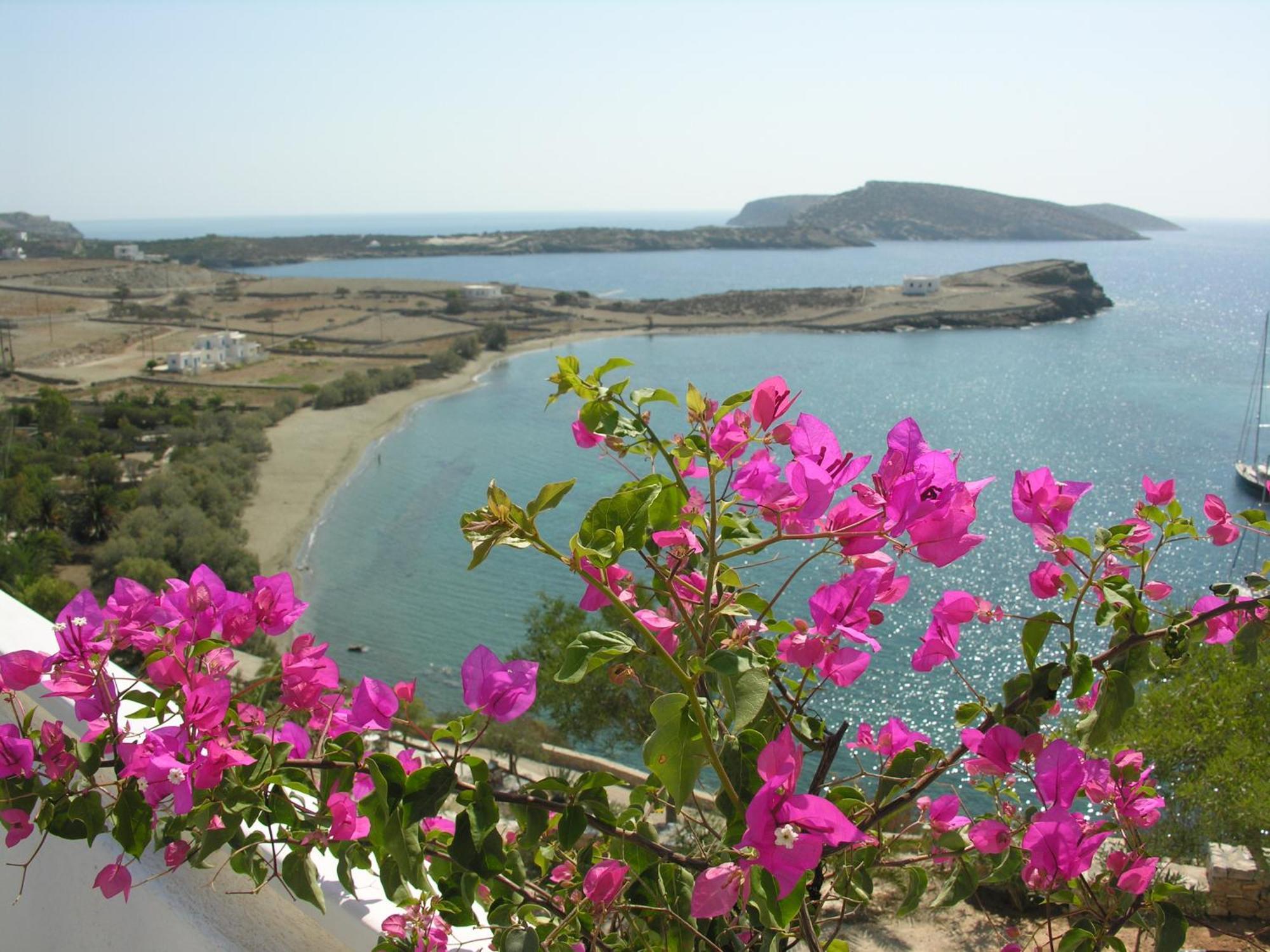 Armonia By Grispos Villas Schoinoussa Dış mekan fotoğraf